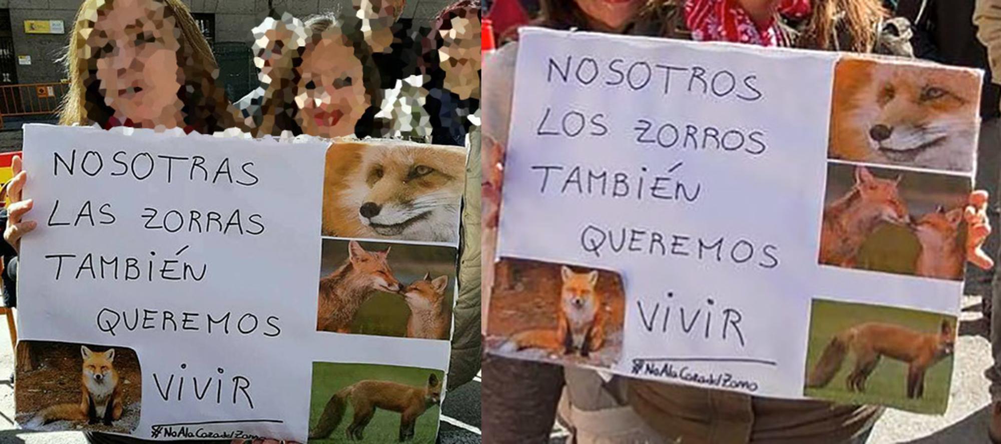 Montaje cazadores